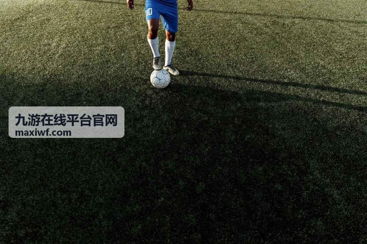 九游在线平台官网站内搜索使用示意图